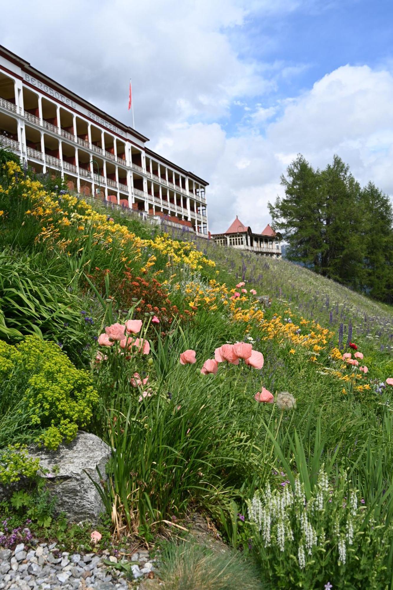 Schatzalp Hotel Davos Ngoại thất bức ảnh
