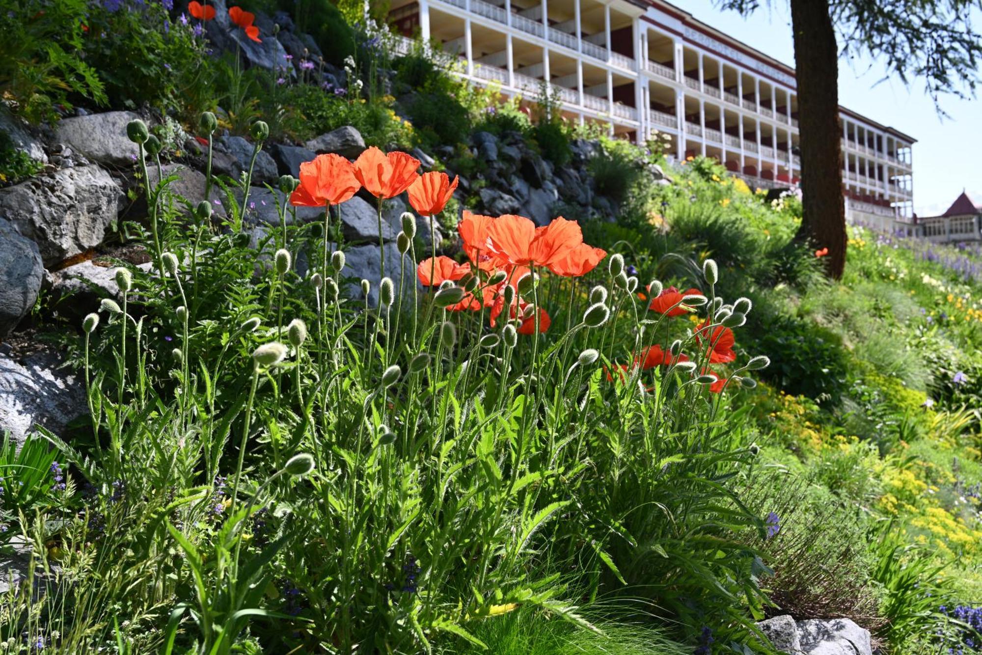 Schatzalp Hotel Davos Ngoại thất bức ảnh